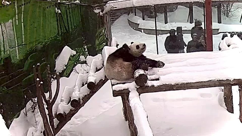 ������ ����� ������� ��������� �������� ���������� � ��������� ���