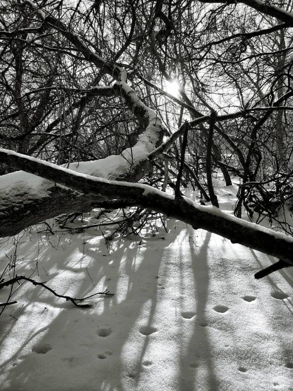 �� ������ ������������, 18 ������ �� ���������� ���������� ��������� �������� ������ � ������������