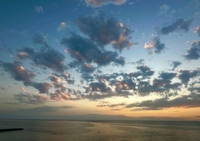 ����������� ����: ��������� ������� � ������������ ������� ����������