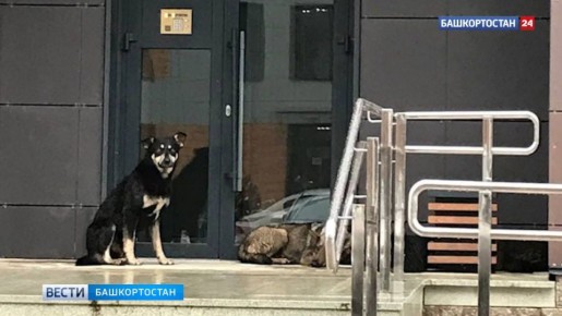 �������� � ��������� �������� � ��� ����� �� �������� � �� ������