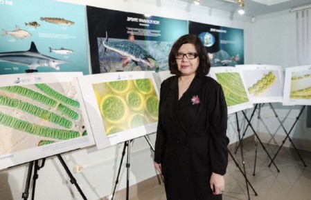 20 ������. 13.20. ������� �������: �� "����� ����������" ��������� � ��������� ������������� ���������� ����� ����� �� ����� ������������� ������, �� ����������� ������ �������� ���������� �������� �� ���� ������������