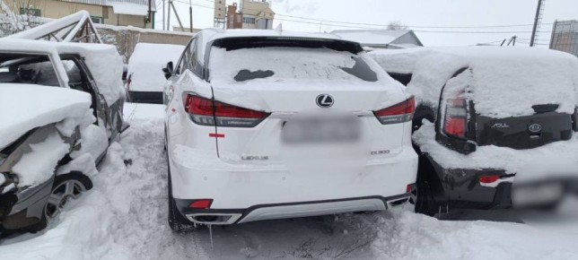 � ������� ��������� ������������� ����������� ���������� ��������� �� ����� ����� 44 ��� ������, ������������� ���-���������� �� ���������������� ������