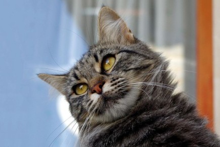 ��� ���������� ����� �� ������� �� ����� �������