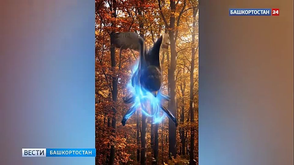 ����� �������� ���������. ������� ������������ ������� �� ���������� ����������� ������ � ����� ����� ����� ����������� ������