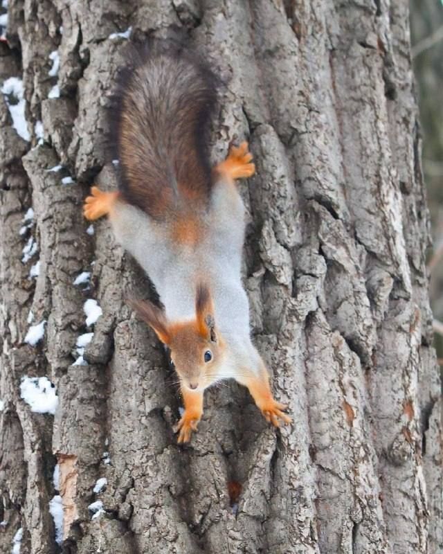 , #����������!. : ��������� ����� ��� ��������� �� ����� ��� � MAX | �������� | ��������� | �������������