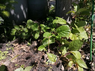 �������� ��������� � ������: ��������� ���� � ������