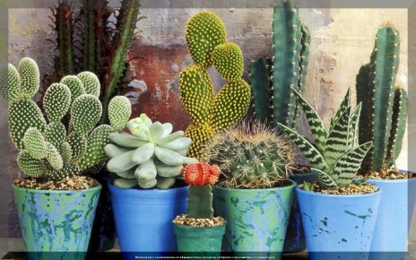 ���������� ��������� �������� ��� ����������, �� ������� ����������