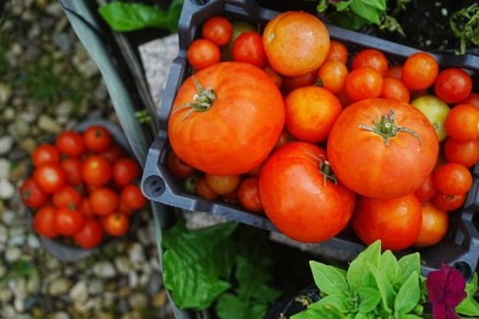 ������ �� ��������� ���� � �������