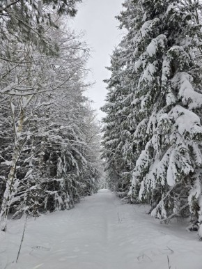 ���������� �����. ����: ������������ ������������������ � �������� �������������, ����� ������ �������