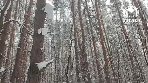 ����, ������� ��������� � ���� ������, ��������� �� ����