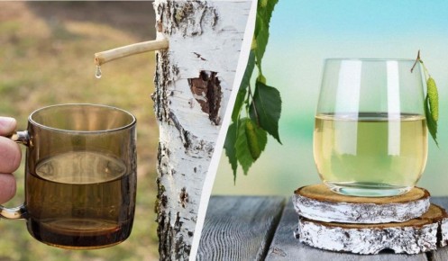 ��� �� ������: ������� ����� � �������� �� �������� �����