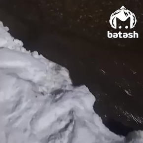 ���������������� ����� �������� �� ����� � ĸ��