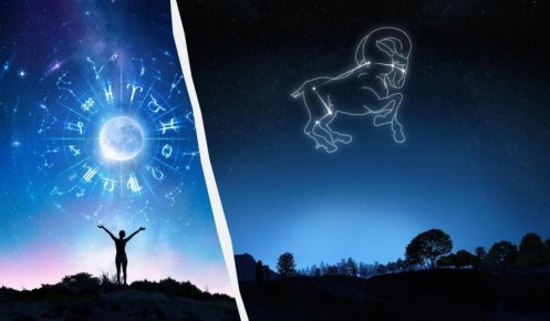 Тайны совместимости Овнов: с кем обрести счастье