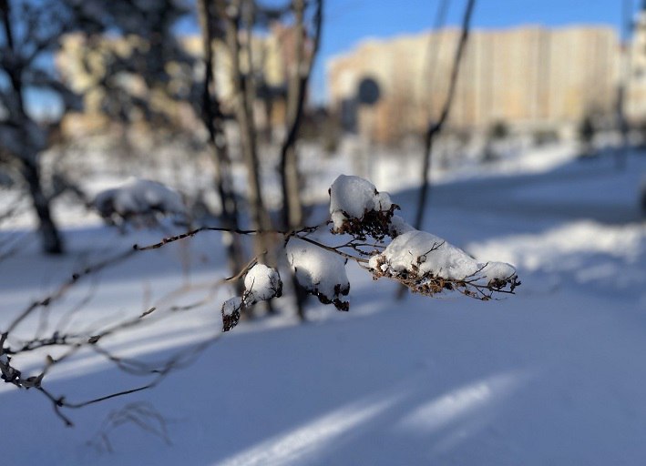 По данным Башгидромета, 24 января на территории республики ожидается облачная погода с прояснениями