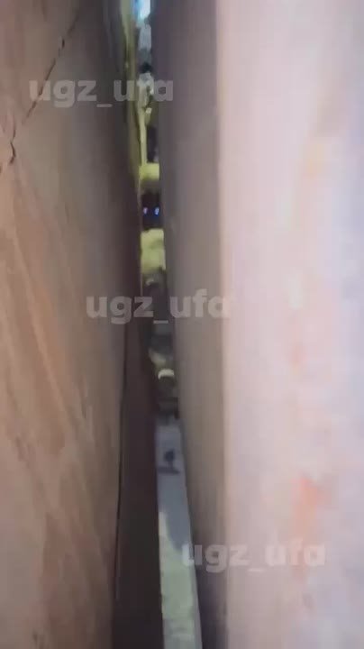 В Уфе вызволили из беды трёх щенков