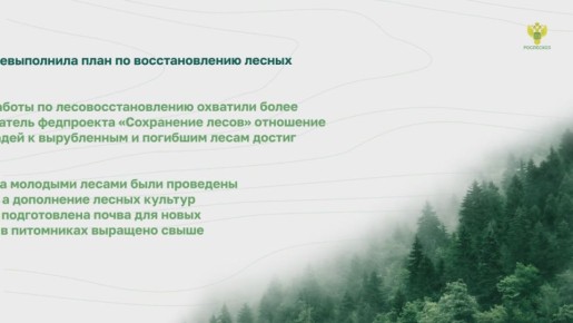 Главные лесные новости за прошедшую неделю собрали в #Дайджест