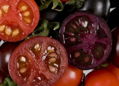 Опасности томатов: почему биколоры и долгохранящиеся сорта могут навредить здоровью