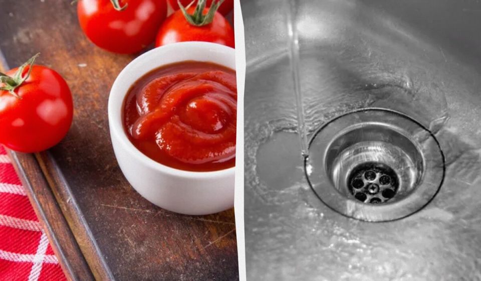 ��������� ����� ������ �������� ��������� � ������� �������