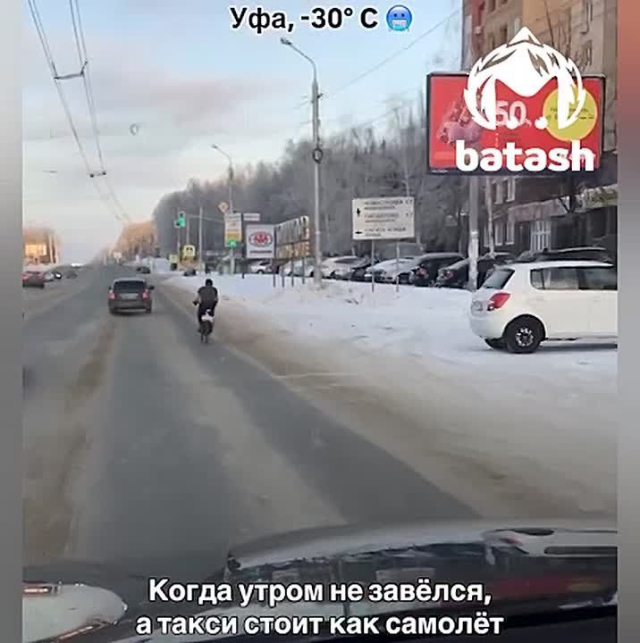 Можно просто скучать по лету, а можно сделать себе летний день, как этот велосипедист из Уфы