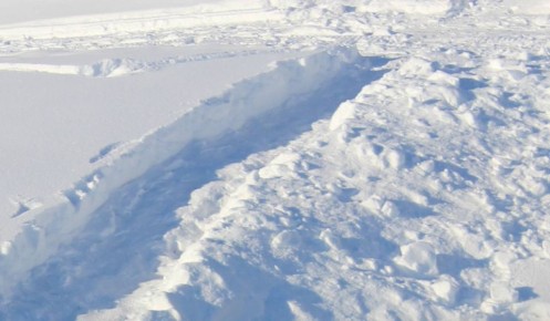 � �������� �� ����� ��������� ���� �� �� �����������