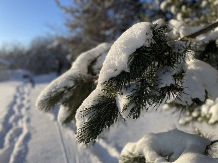 �� ������ ������������, 26 ������ �� ���������� ���������� ��������� ���������� ����������