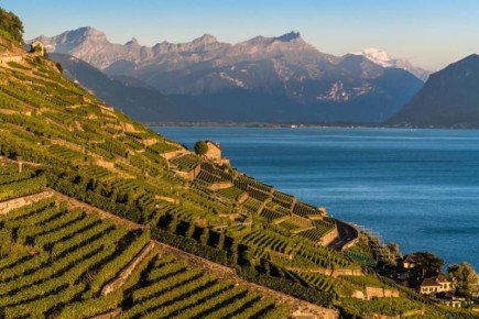 Вино как культурное наследие: пять уникальных традиций