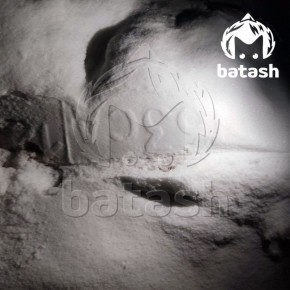 Водитель сбил косулю под Уфой и скрылся