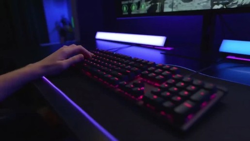 � ������������ ���� ����� ��������, �����������������, ������ ������ ��������� ������� � ��������������� �� ���������