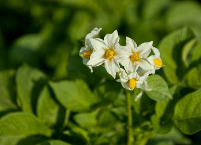 ��� ������, ��� ��������� ����� � �����: ������� ��������