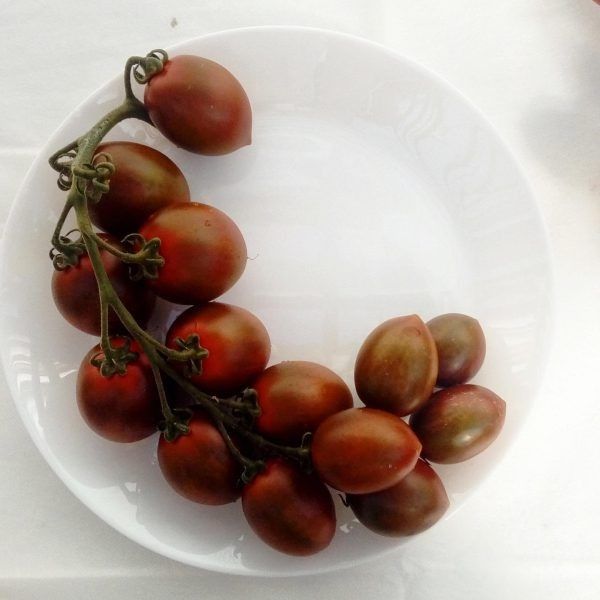 ��������� ������: �������������� � �������� ������ ������� � ������