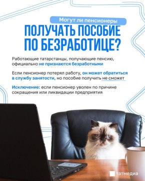 ���������� ��������� � ���� ������ ������: ��� ������ ������