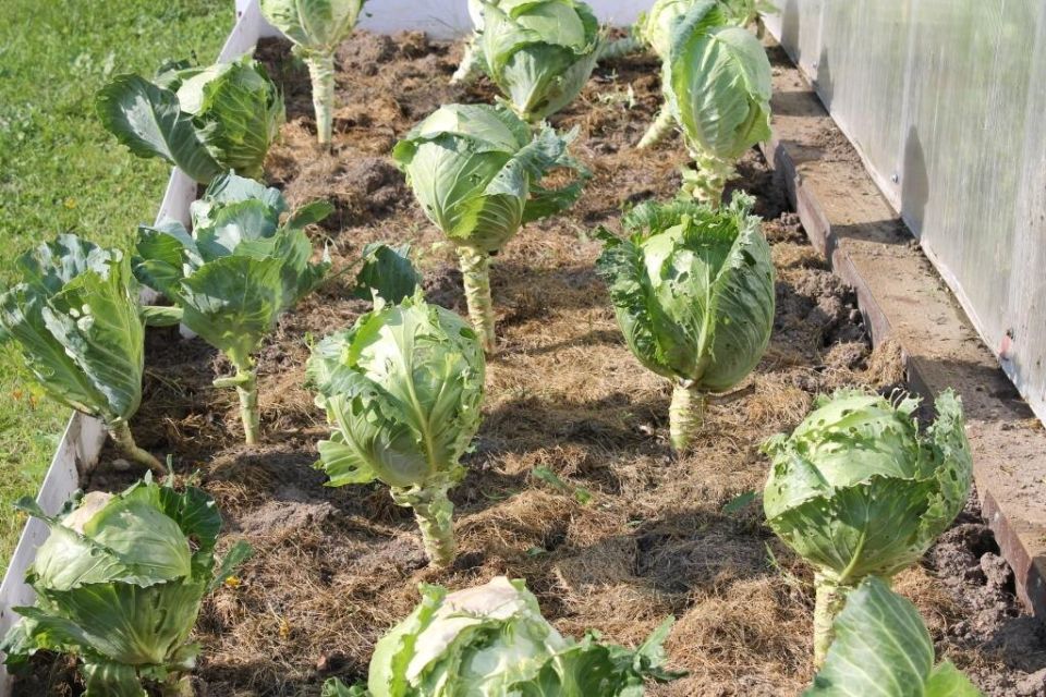 ��� � ����� ��������� ������� ������ � ������� � ������ ������� ������