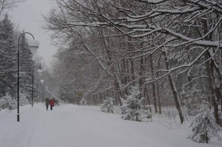 � �������� ������ ��������� ������� ��������