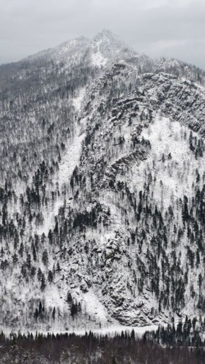 �����. ����: ������������ ������������������ � �������� �������������, ����� ������ ��������