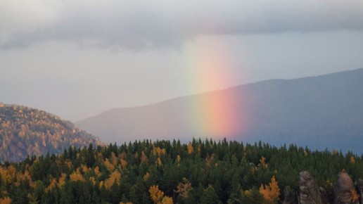 ������������� ������������� �������� ��������� $218 ���� �� ��� � ������������ ����� ���������� �������