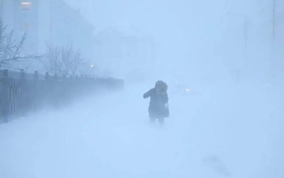 ������� ������������� ������������ � ���������� � ������