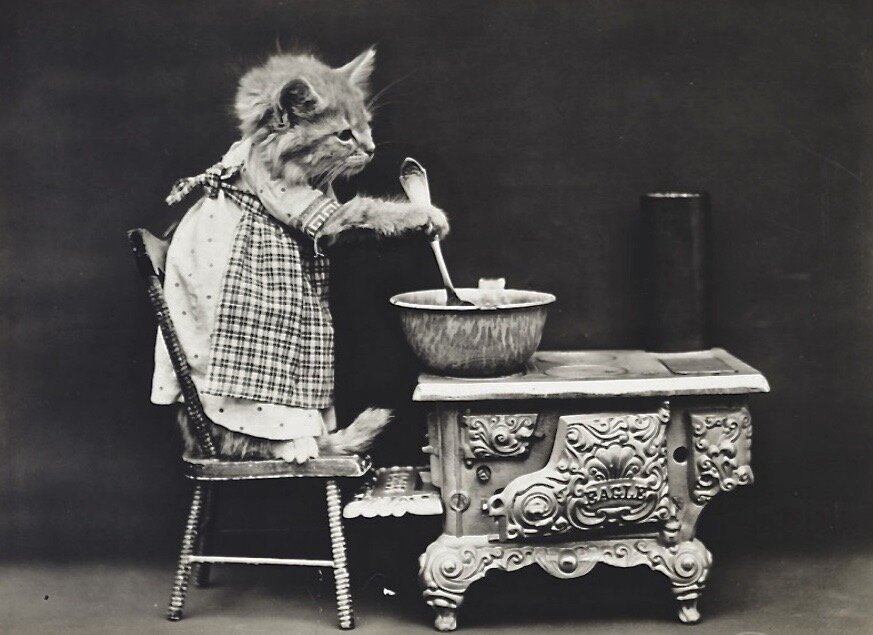 Когда лень готовить: простые рецепты быстрого блюда на каждый день