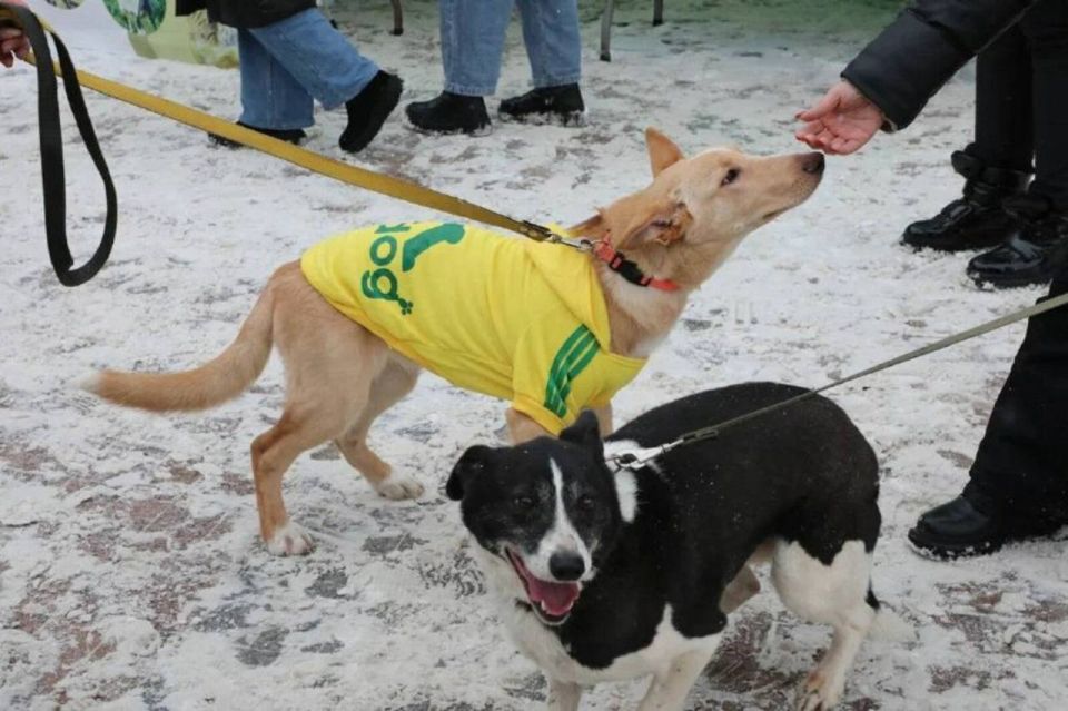 31 ������ � ��� ����� ������ ����������������� ����� ���� ��������