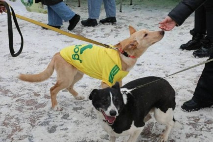 31 ������ � ��� ����� ������ ����������������� ����� ���� ��������