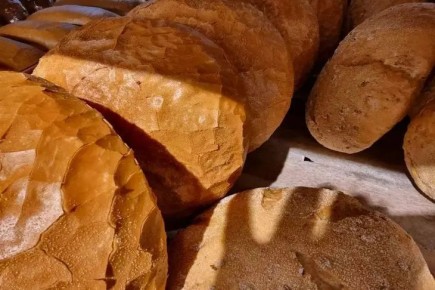 � ������ ������ ���� ��� ��������: ���� ������ �������� ������ ����