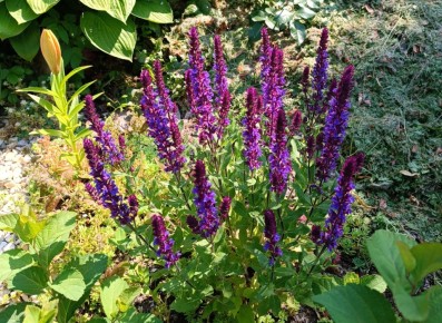 ���-��������� �������: 10 ��������, ������� ������� �� ���������� ��� �����