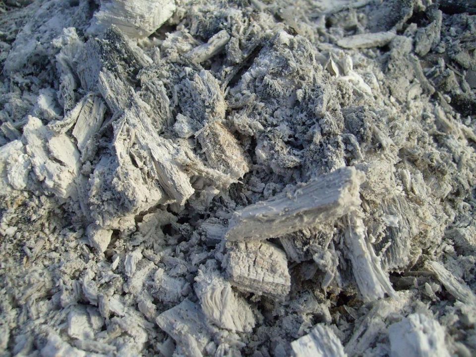 ���� � ����: ���� ��� ����� ���������