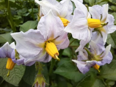 ��� �������� �������� ������ ���������: ������� ������ ��� ��������