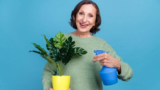 ����� �� ��������� ����, ���� ������ � ������ �������: ��� ��� ����� ������ ���������