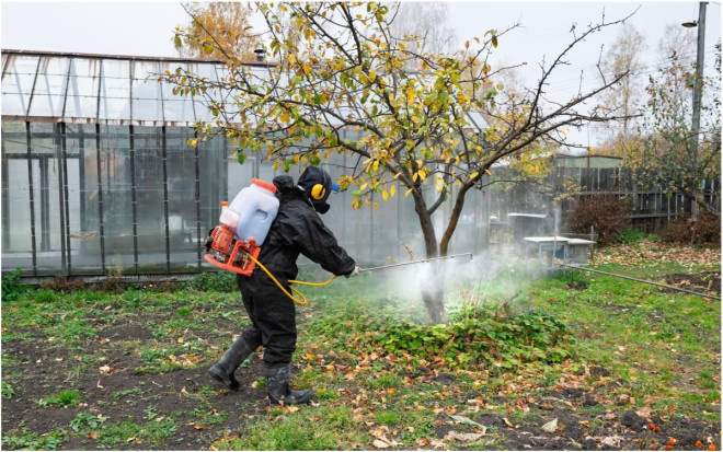Эффективная осенняя обработка сада: ключ к зимнему спокойствию