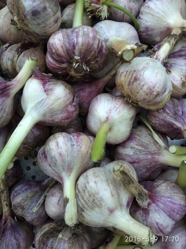 ��� ��������� ��������� �� ������ �������� ����� ����� ������