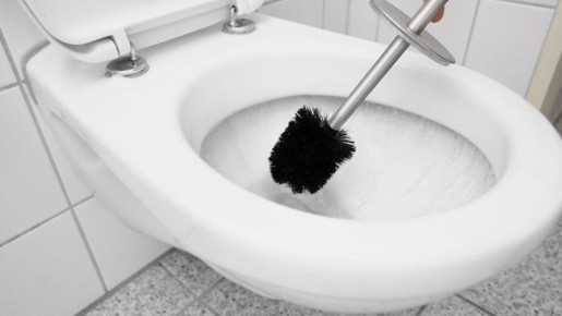 ������ ����������, ��� �����: ������� � ���� ��� ����������� ��������