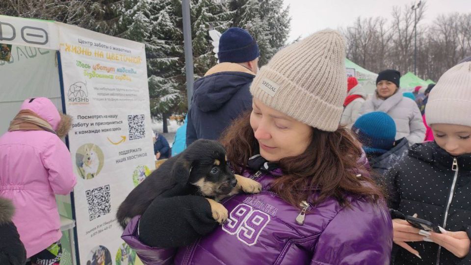 ������ � �������. � ��� ����� ������ ����������������-���������������� ����� ���� ��������