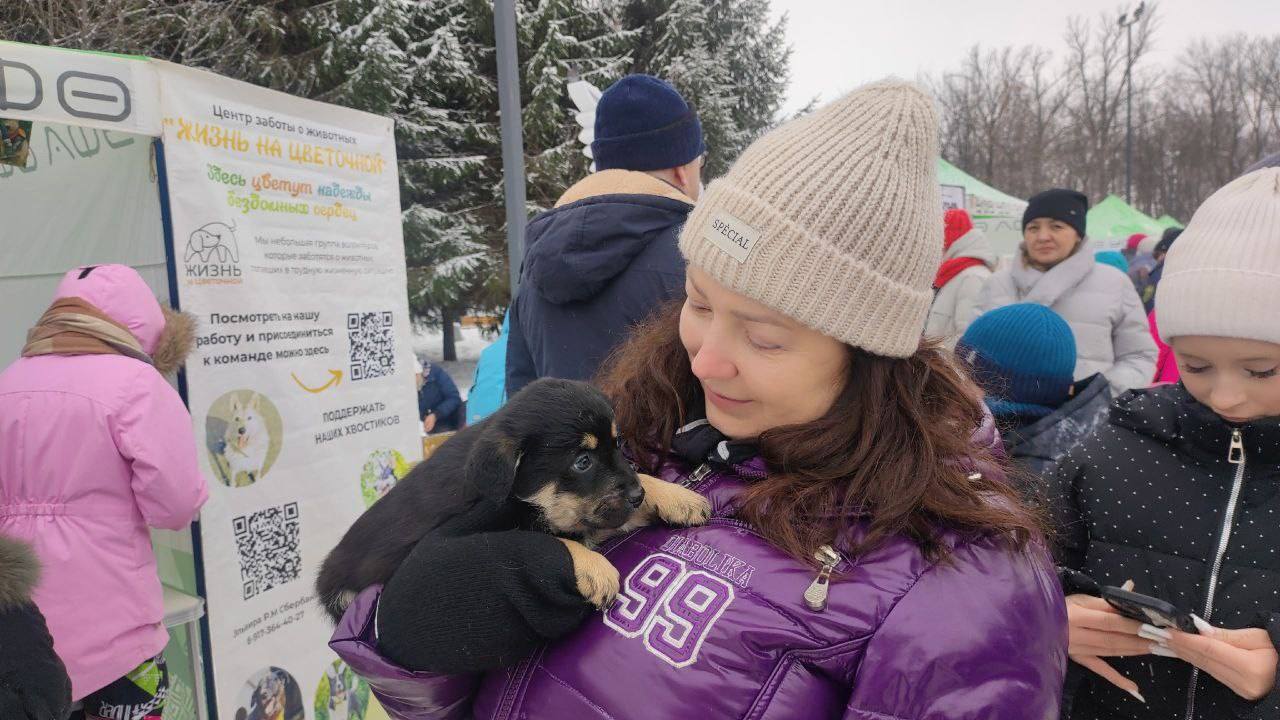 Любовь с хвостом. В Уфе вновь прошла благотворительно-просветительская акция «Ищу человека»