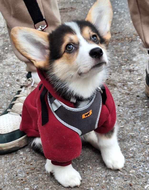 ��� ��������� ���������� ������ � ������?